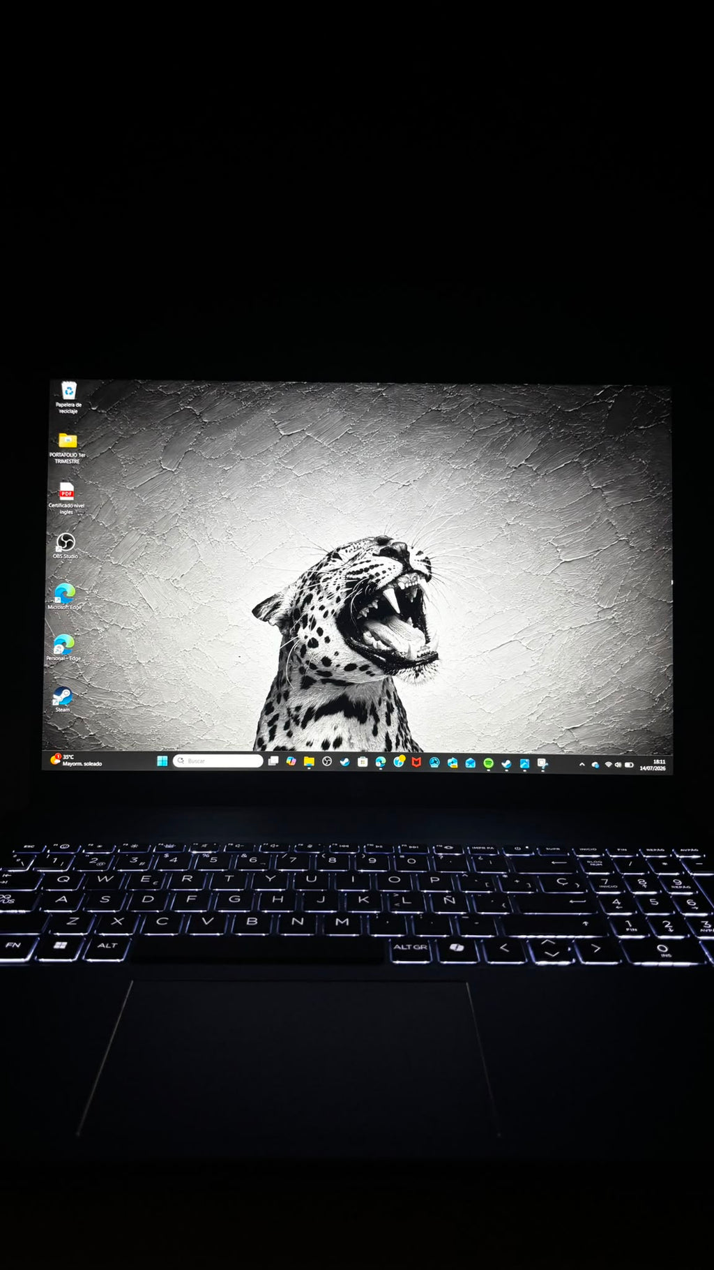 Leopard Luxury Wallpaper Pack – 2 Premium HD Wallpapers